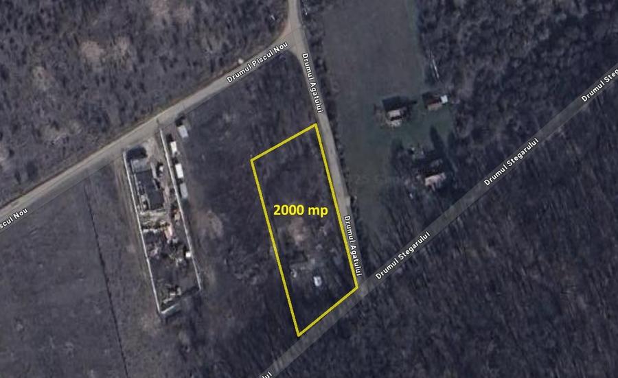 2000 mp pe Liziera Padurii Baneasa - 1