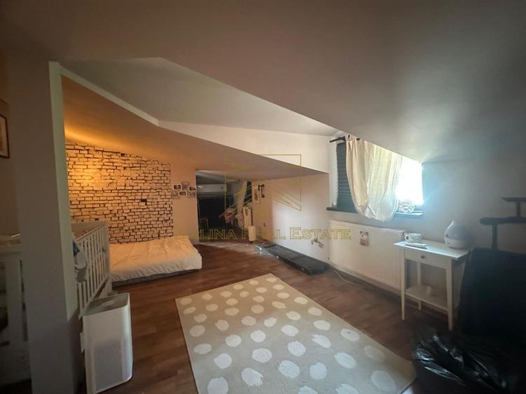 Vanzare - Proprietate cu Potential-Locuinta si Business - 26