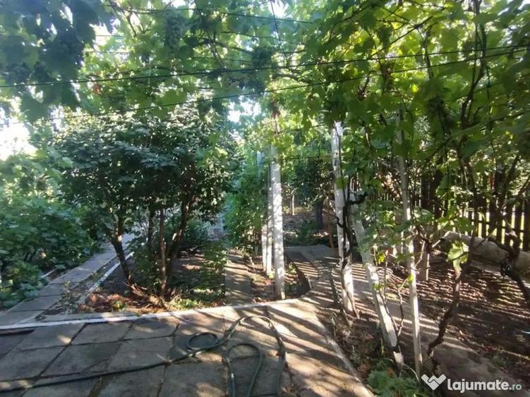 Casa, gradina, teren mare - Palazu Mare - 8