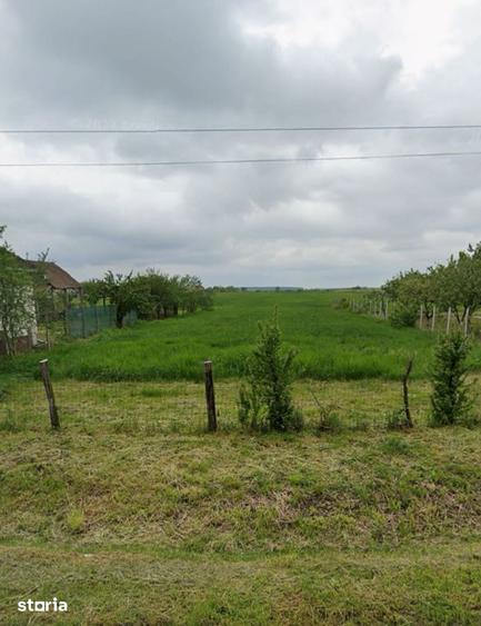 Teren de 5774 mp, în Saca