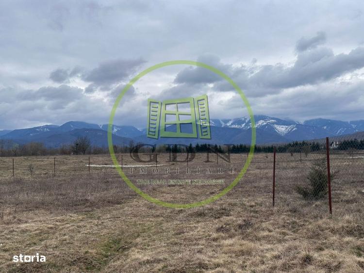 Exclusivitate! Teren intravilan, ttrifazic 44kw, urbanism, toate avize - 10