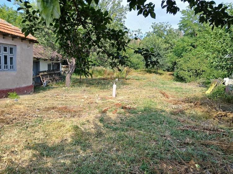Casa de vanzare - 3