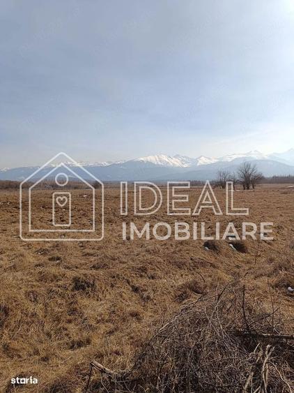 Teren 25.500 mp Valea Avrigului - 3