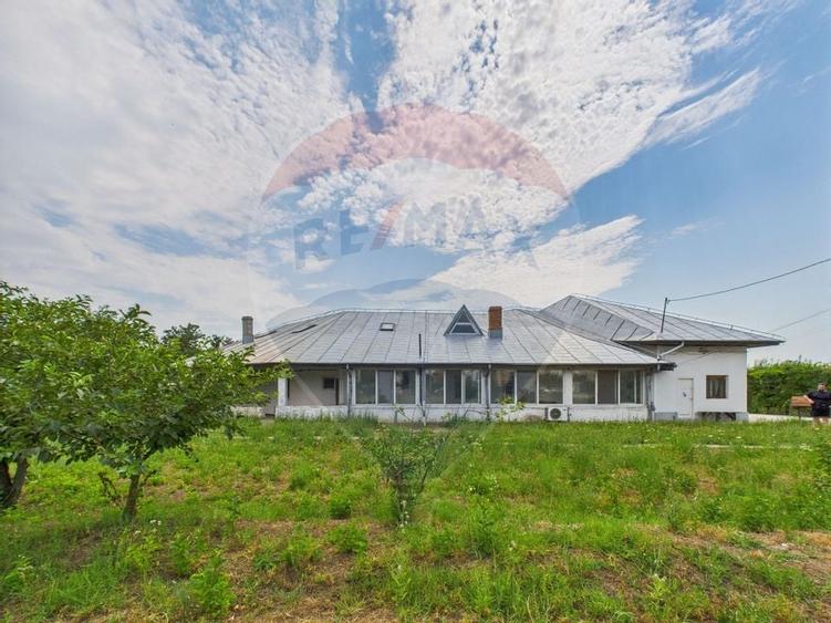 Proprietate speciala Dragomiresti Deal -Teren 15000 mp - 1