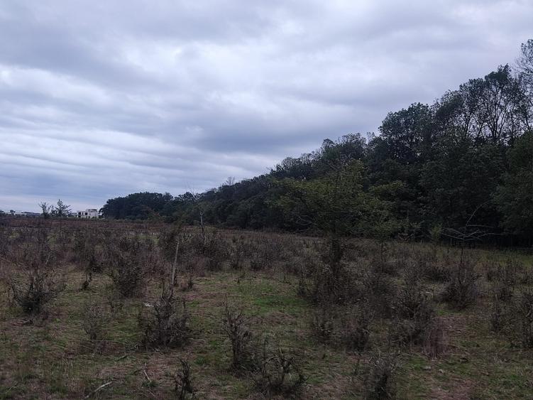 Proprietar,Sos.Pipera,lângă pădurea Băneasa,teren 950mp,vile MANOR,Oxford Gard. - 2