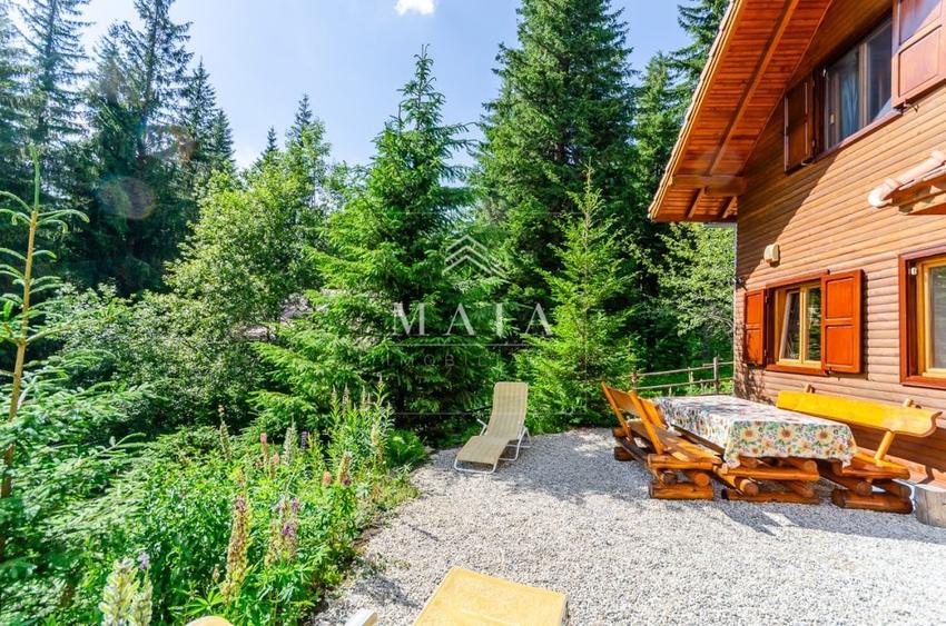 Casa 3 camere, 840 mp teren care include padure, Paltinis - 18