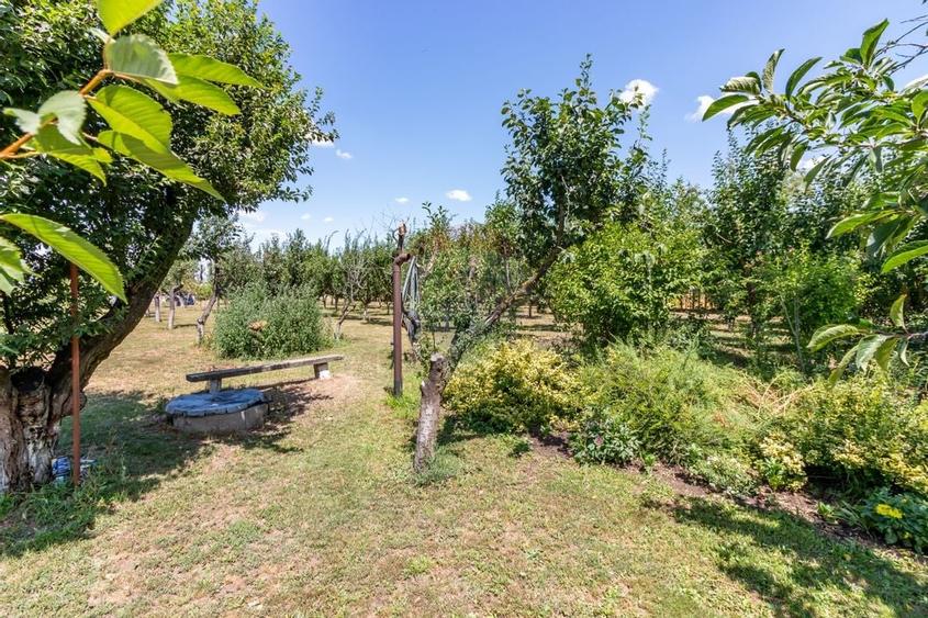 Casa+Laborator+ Teren 12.700 mp + casa de vacanta - Bolintin Vale - 57