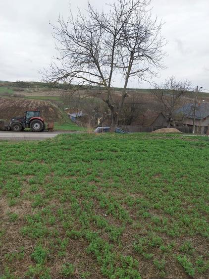 Teren intravilan - 4