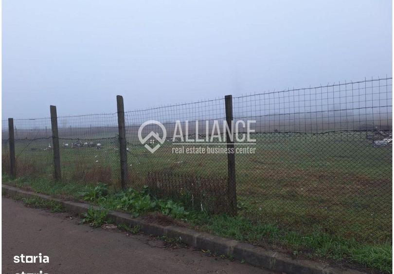 Teren de Vanzare Cumpana - 6