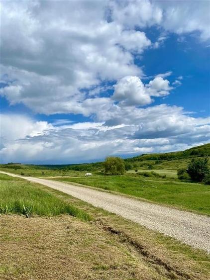 TEREN SI CASA UILEACUL DE MUNTE | 2.215MP - 8