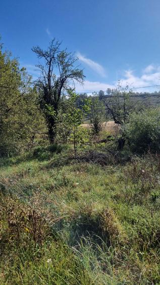 Vand salas in comuna Sichevita - 3