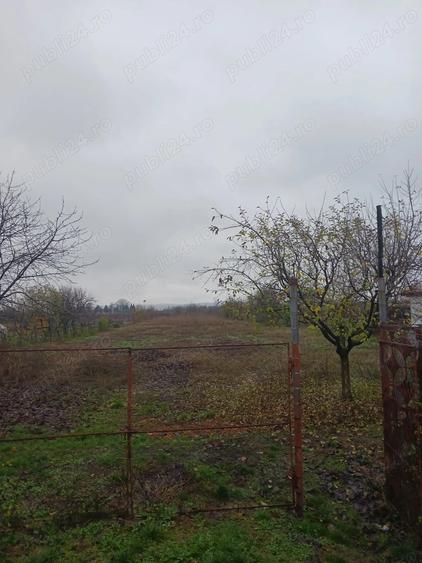 Casa cu teren de vanzare in comuna Verguleasa, jude?ul Olt - 5