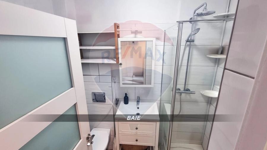 Apartament 3 camere, doua niveluri, compartimentare unica-Victor Babes - 16