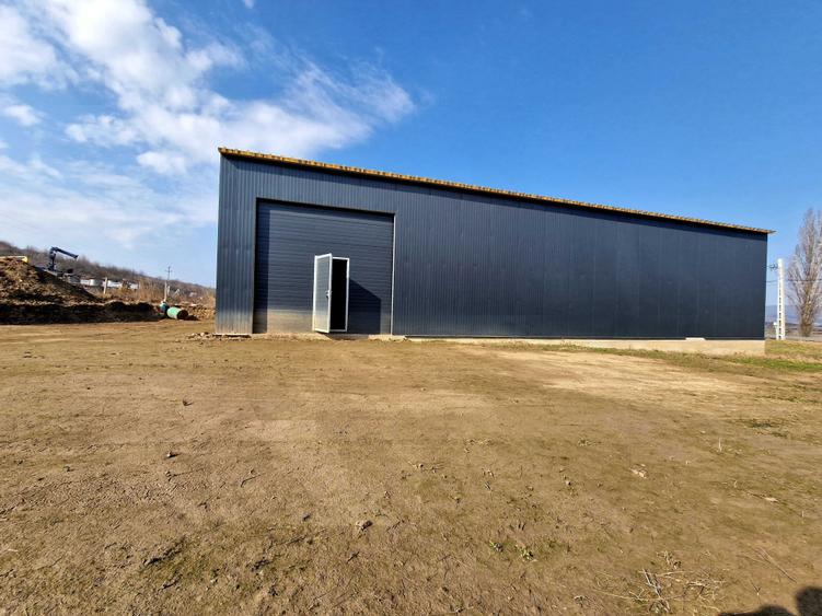 Teren cu hala de vanzare - 5