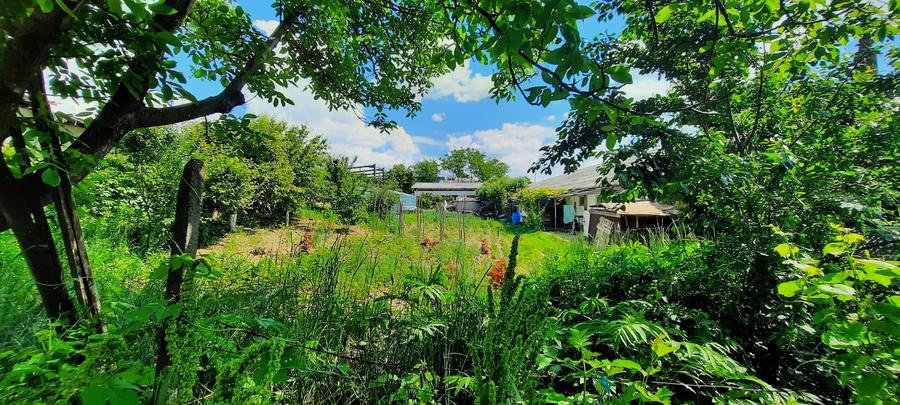 Hala zona Drumul Tatarilor - 3