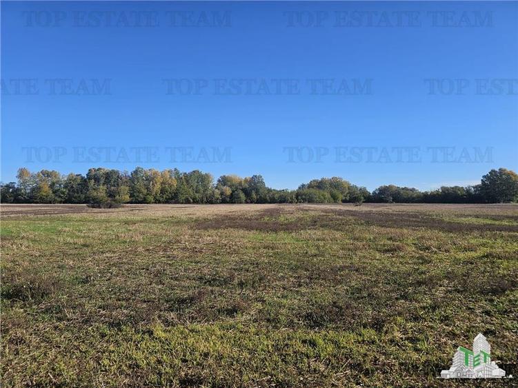 SUPER-PRET Teren 1ha intravilan intre A0, padure si raul Sabar - 2