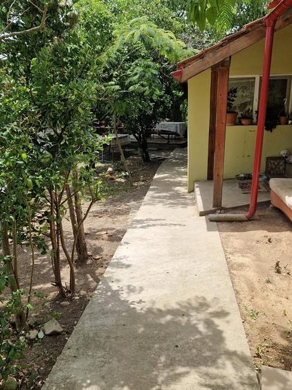 Sat Murani, Com. Pischia, Judetul Timis - 6