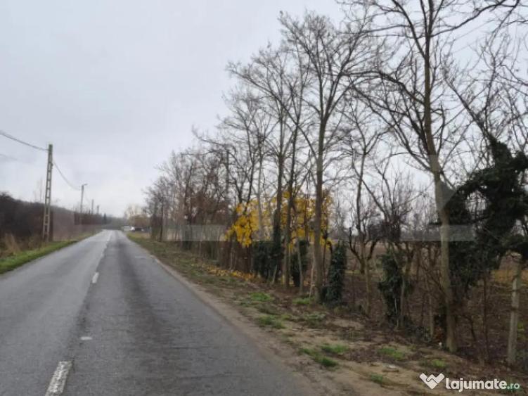 Teren intravilan de vanzare, 2.500 mp, Str Gorunului, zona A - 5