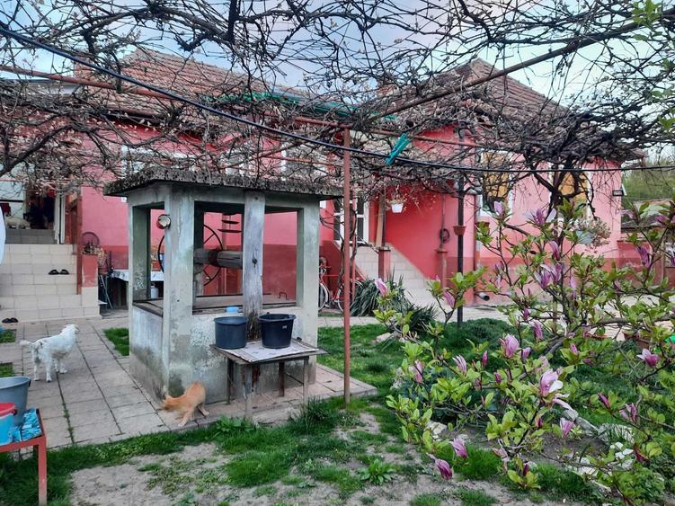 Casa de vanzare in Bretea Romana - 1