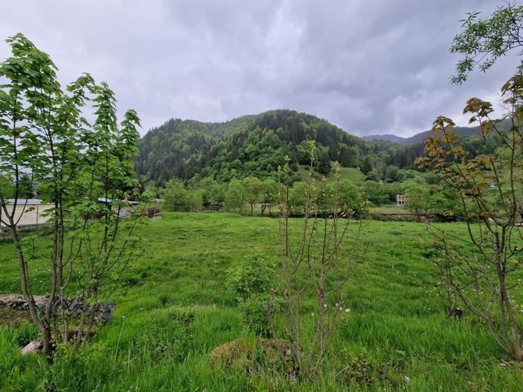 Teren intravilan - Rucar - Satic - 1775 mp - la strada principala - deschidere - 7