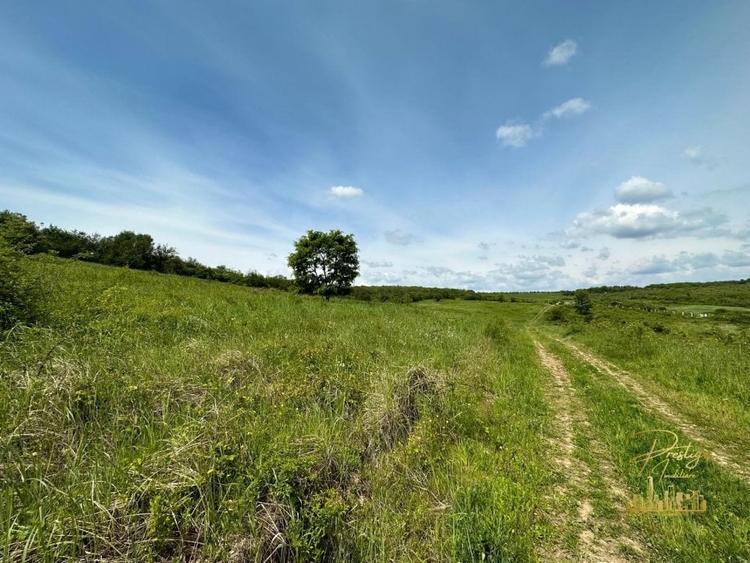 Teren intravilan in zona Hanul Pescarilor, str. Dealul lui Dumnezeu - 3