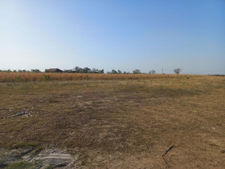 Teren de vanzare intravilan Tecuci - 4