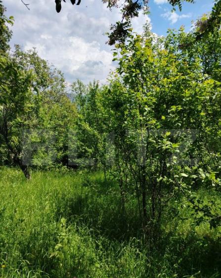 Teren intravilan Pietrosita - 3