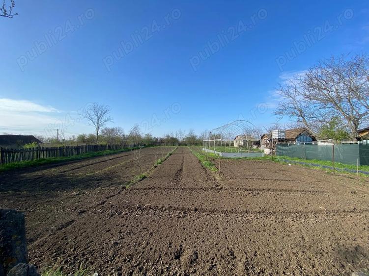 Vand casa Crunti, Ialomita - 3