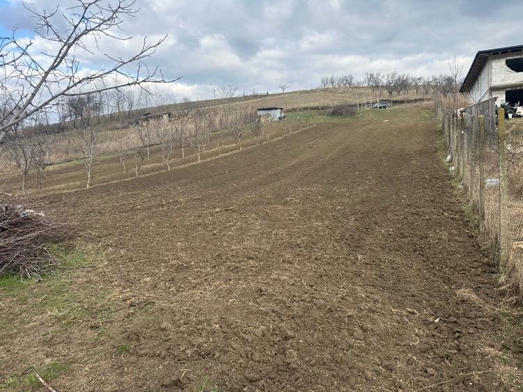 Teren intravilan 1724mp - 4