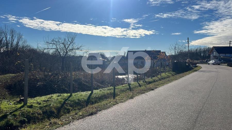 Refugiu la tara: casa cu 2 camere si teren de aproape 4.000 mp, Cocu - 3