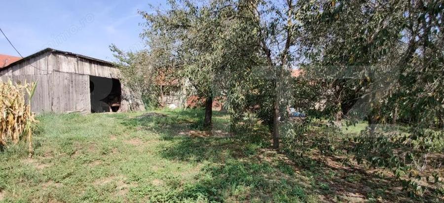Casa mare cu gospodarie completa Belin?, jude?ul Timi? teren 4.900 mp - 17
