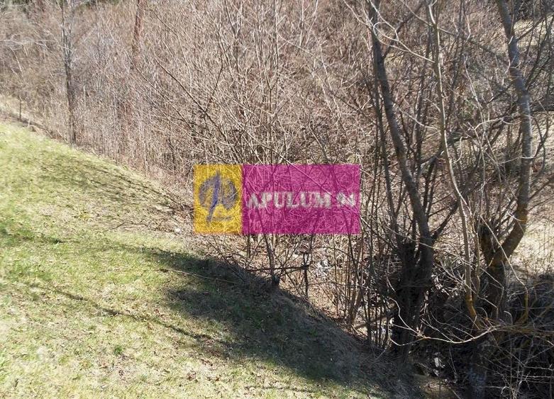 Teren de v&acirc;nzare &icirc;n Bușteni - Zona Zamora - 18
