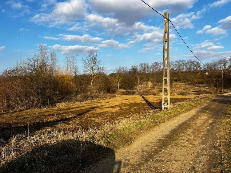 Teren intravilan - Loc de casa - Diosig - IMOBIHOR - 2