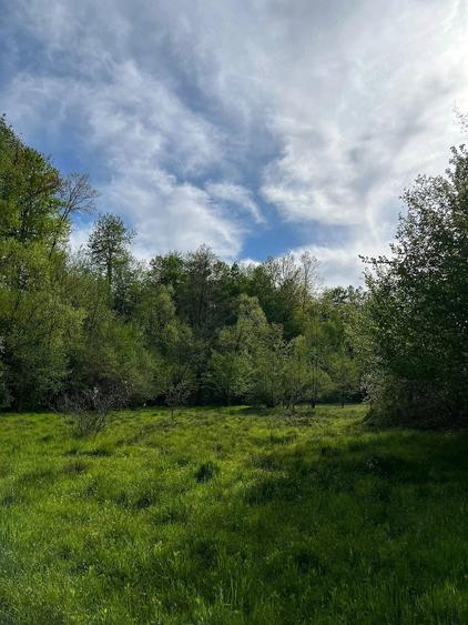 Casă cu Teren 20000 Mp în Vârfurile