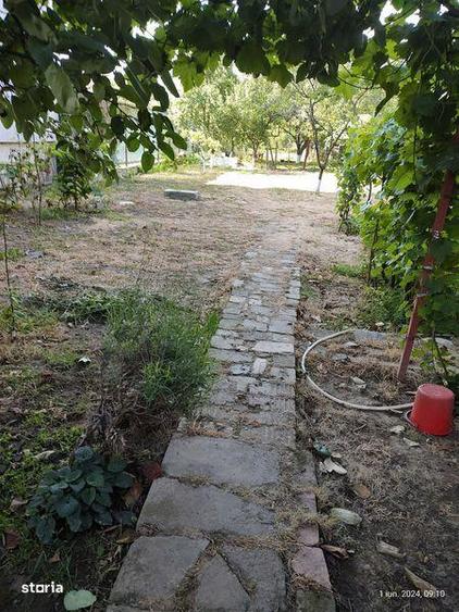 Vila si casa cu teren 1400 mp Popesti Leordeni - 2