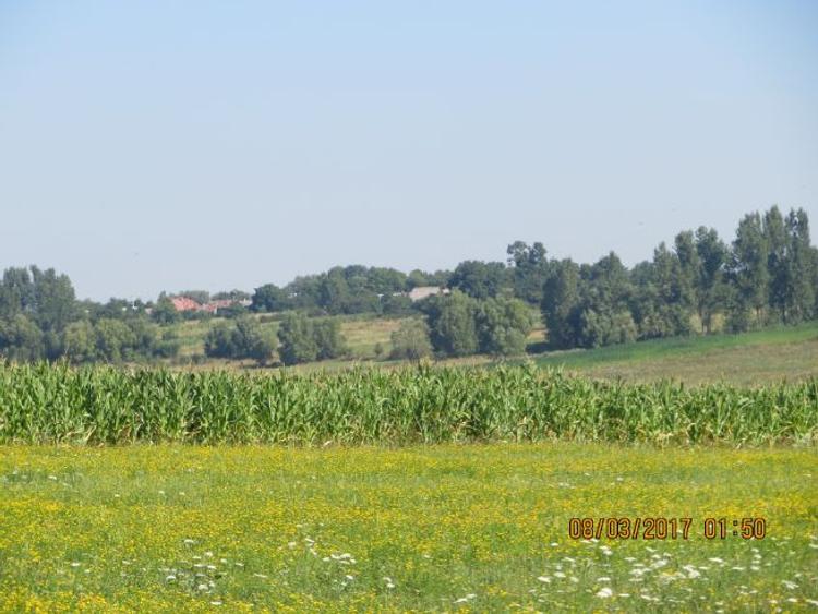 teren extravilan agricol - 1