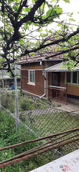 Vand casa cu 2  cam. +dependinte in Ceoasul de Campie - 9