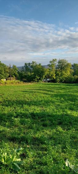 casa batraneasca de vanzare - 2