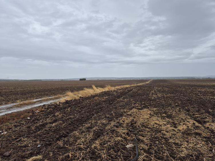 Metro Ploiesti - Paulesti, vanzare teren 39.144mp. - 10