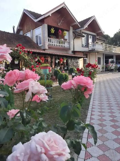 Casa de vanzare : sat. Serel, com.Pui, jud Hunedoara, cu spa?iu comercial ?i iaz de peste. - 1