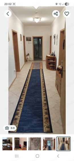 Casa de vacanta in comuna Dorobantu, judetul Calarasi - 4