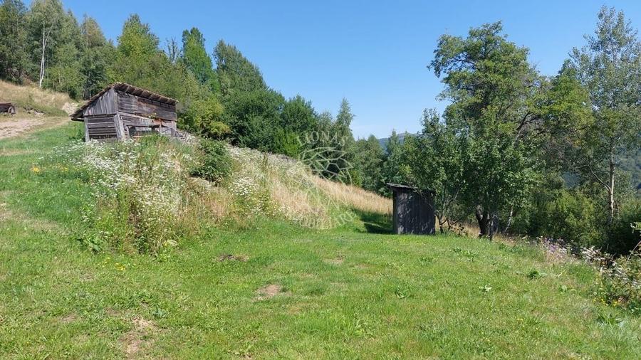 Teren extravilan investiție Rachitele Cluj - 31.555 mp - 4