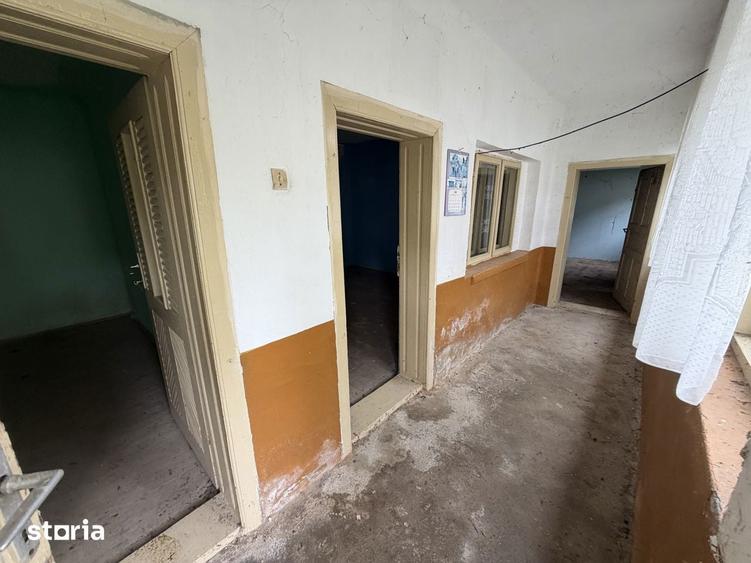 Case Parintesti, Com. Vulturesti, 3600 mp, zona superba - 17