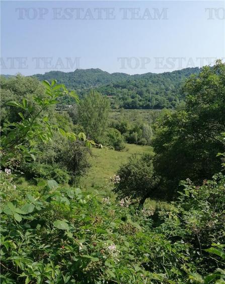 Teren 11230 m.p. Conac - necesita renovare - 15