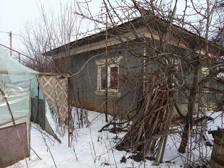 Casa + Teren generos 3283 mp in Curcani, CL Gaze la poarta (Posibilitate parcelare) - 8