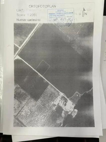 Oportunitate Teren Case Individuale sau Duplexuri Padurea Cernica 300m - 3