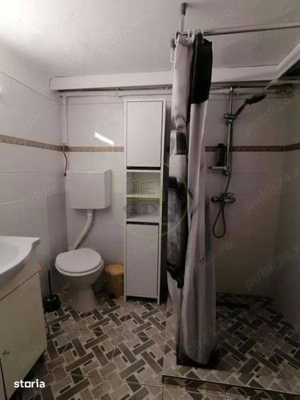 Apartament cu 2 camere decomandat, mobilat în Sub Arini