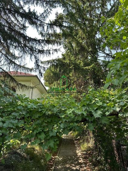 Casa si teren - Zona Ultracentrala - 9