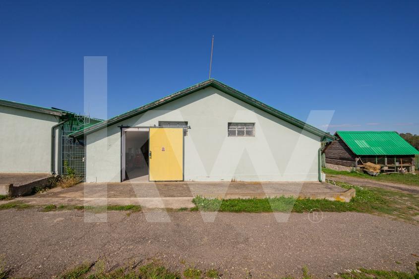 Hala industriala | productie | depozitare | cantina | 826mp | Sebes - 7