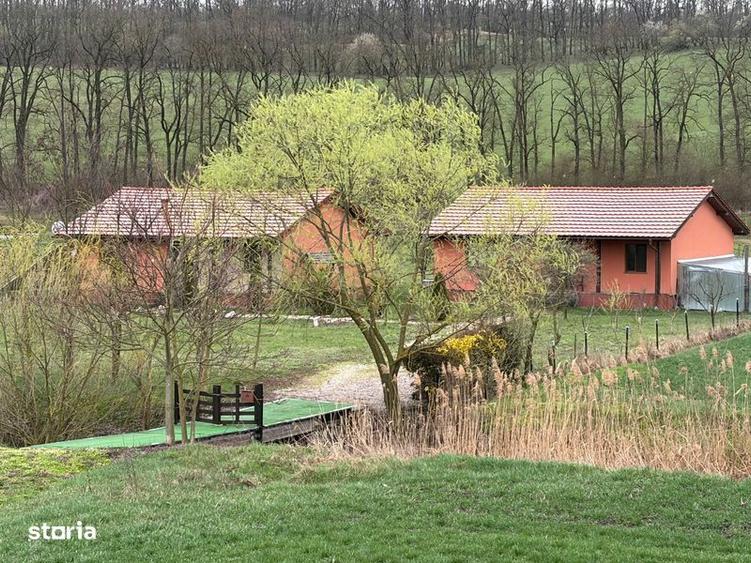 vand case cu 6 ha teren agricol - 1